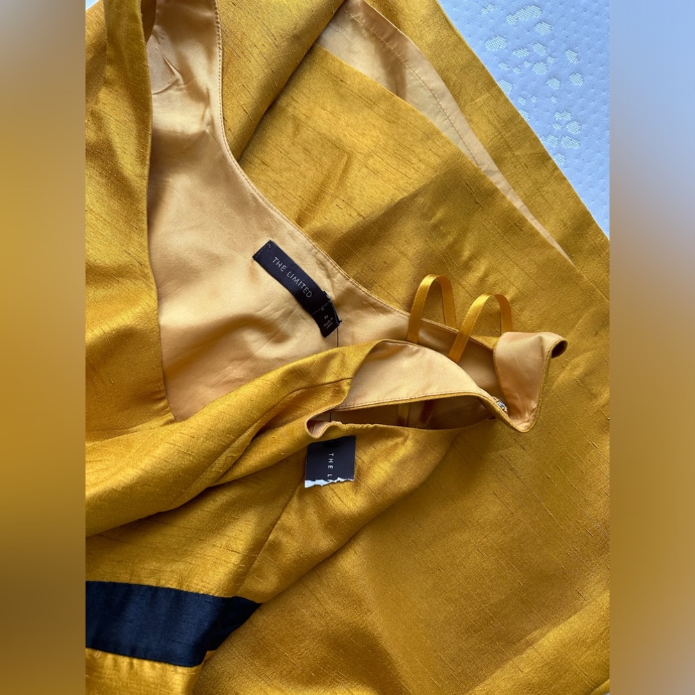 NWT The Limited Mustard-Orange/Gold Sleeveless Aline Dress size 2 - Picture 9 of 13